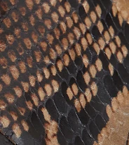 The Hector Jacket In Brown Python-Embossed Leather 6 The Hector Jacket In Brown Python-Embossed Leather - Image 6